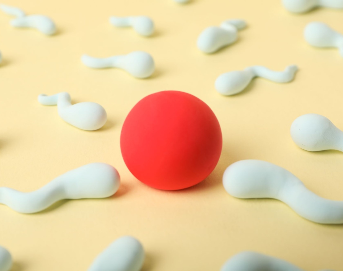 Męska niepłodność a geny: badanie CFTR